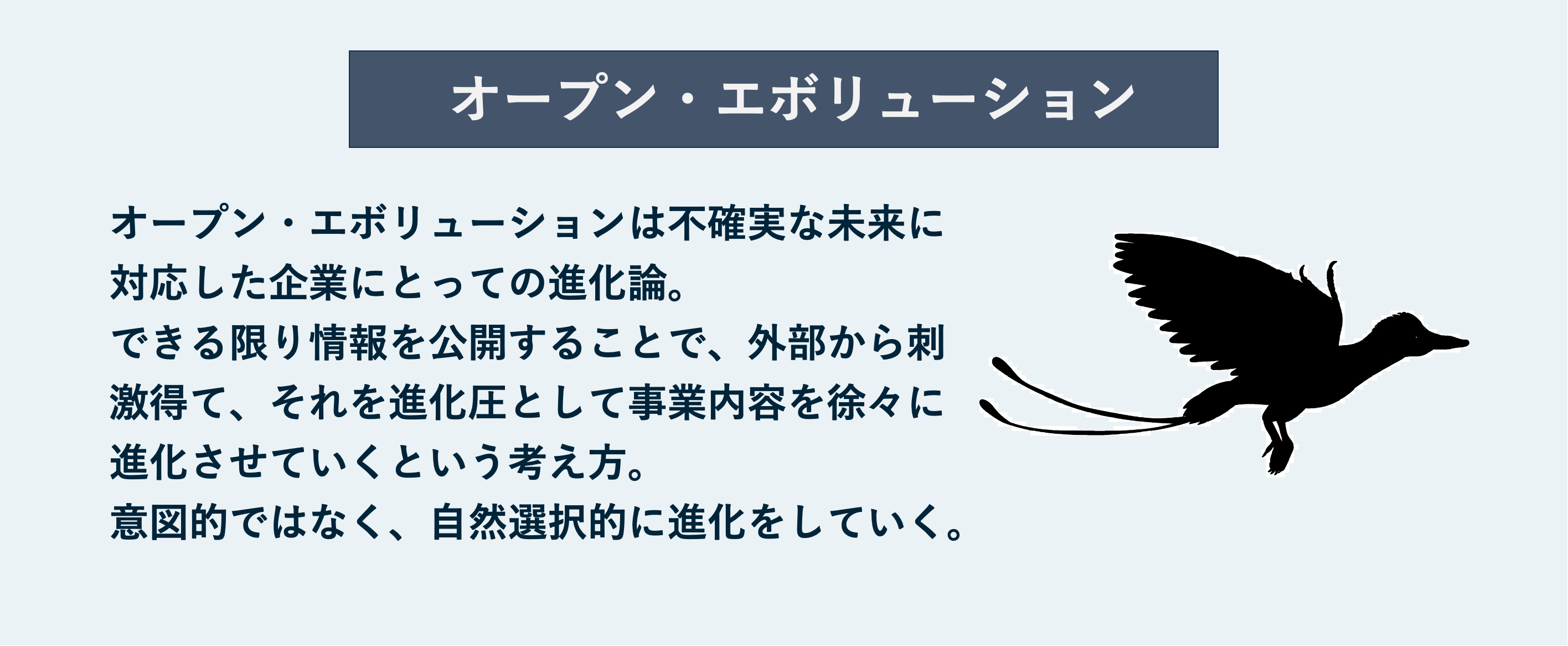 オープンエボリューション
